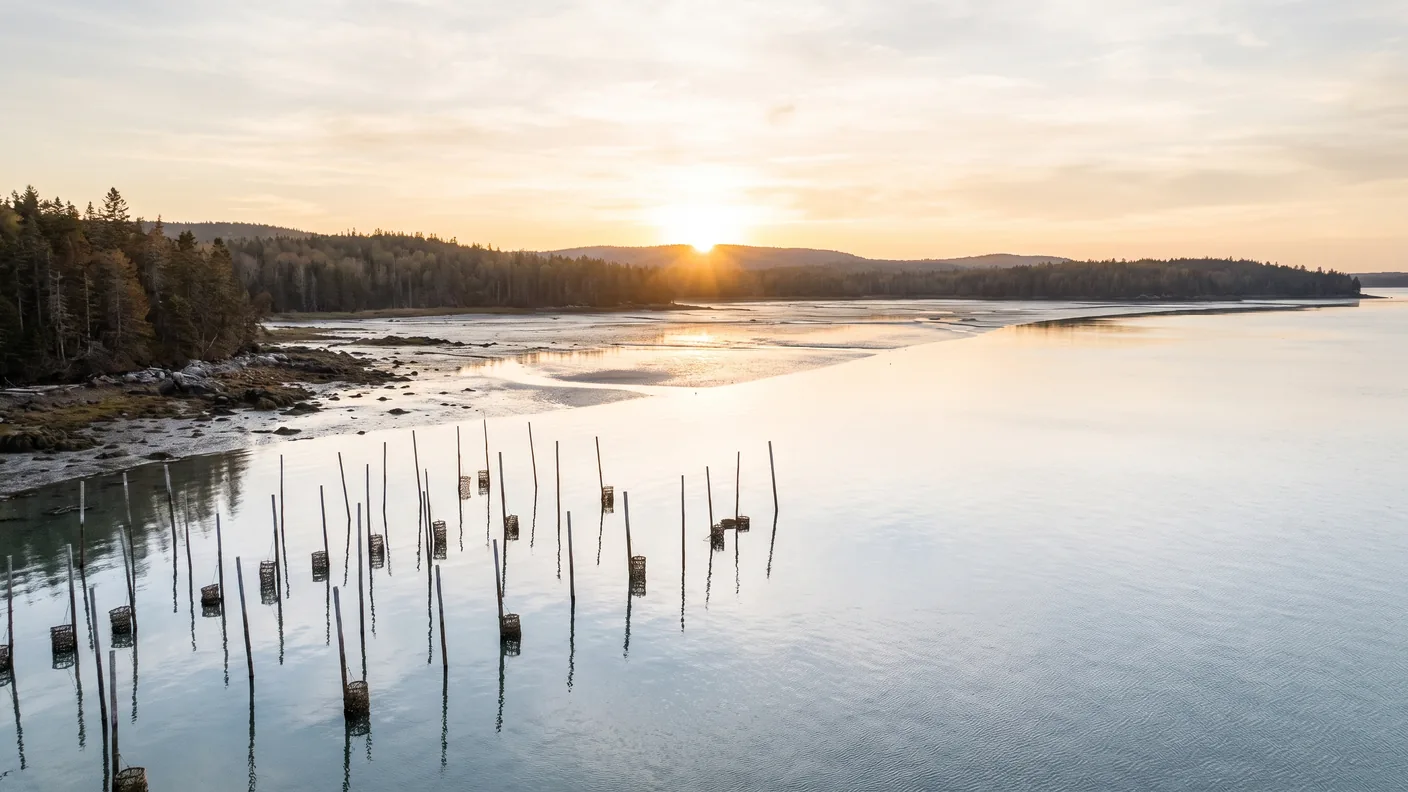 VTC Bordeaux vers Arès — Bassin d'Arcachon