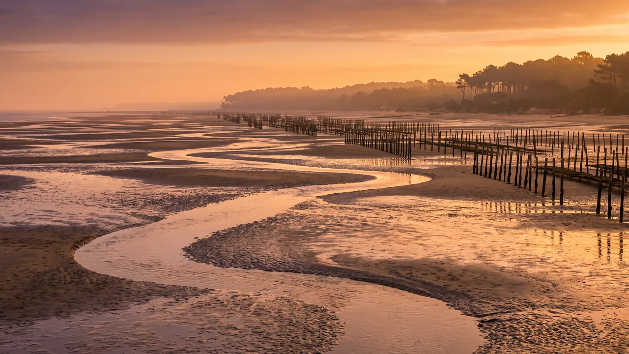 Estran du Bassin d'Arcachon à marée basse à Arès, bancs de sable et chenaux miroitant, pieux ostréicoles