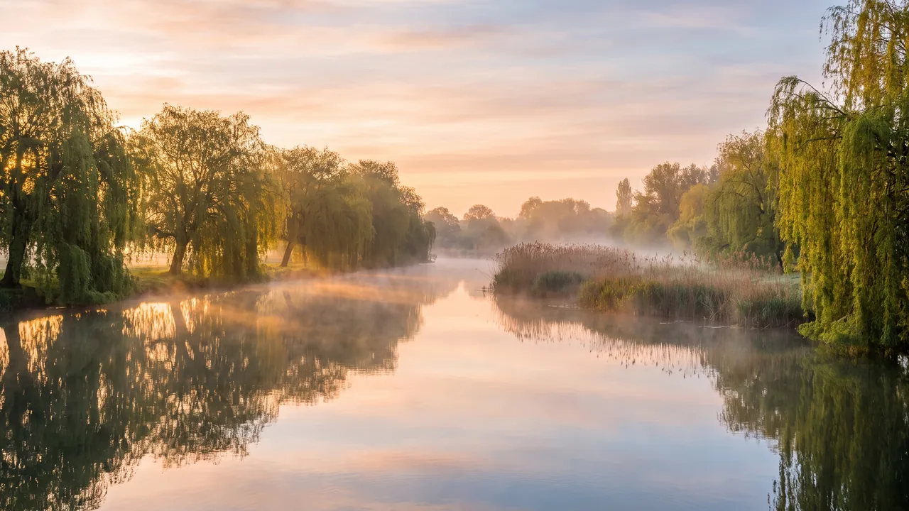 La Boutonne au petit matin, eau calme réfléchissant les saules et un ciel doux, brume légère sur la rivière