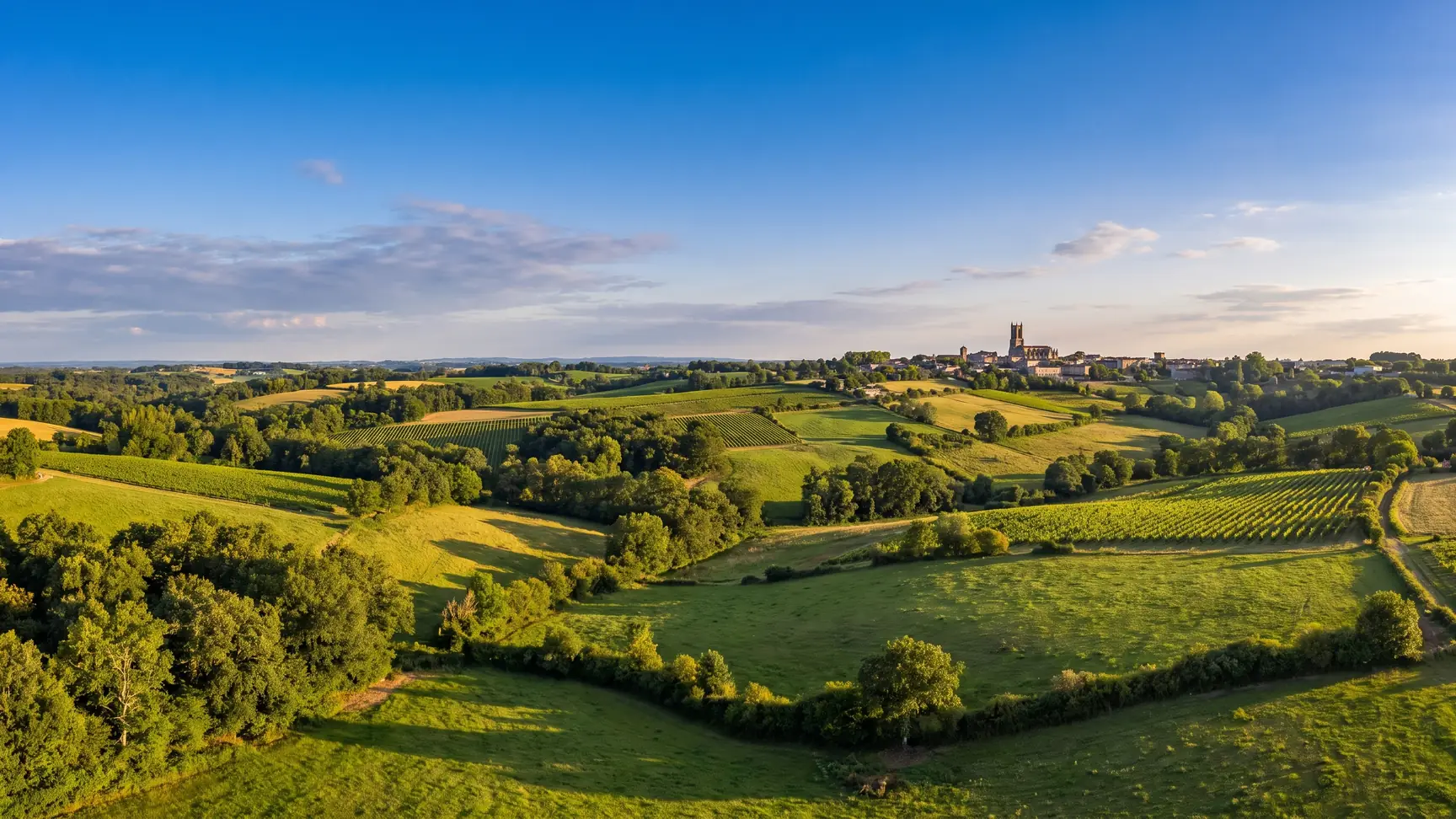 Un panorama de la campagne du Bazadais, prés, vignes et bois vallonnés, une ville et son clocher gothique au loin