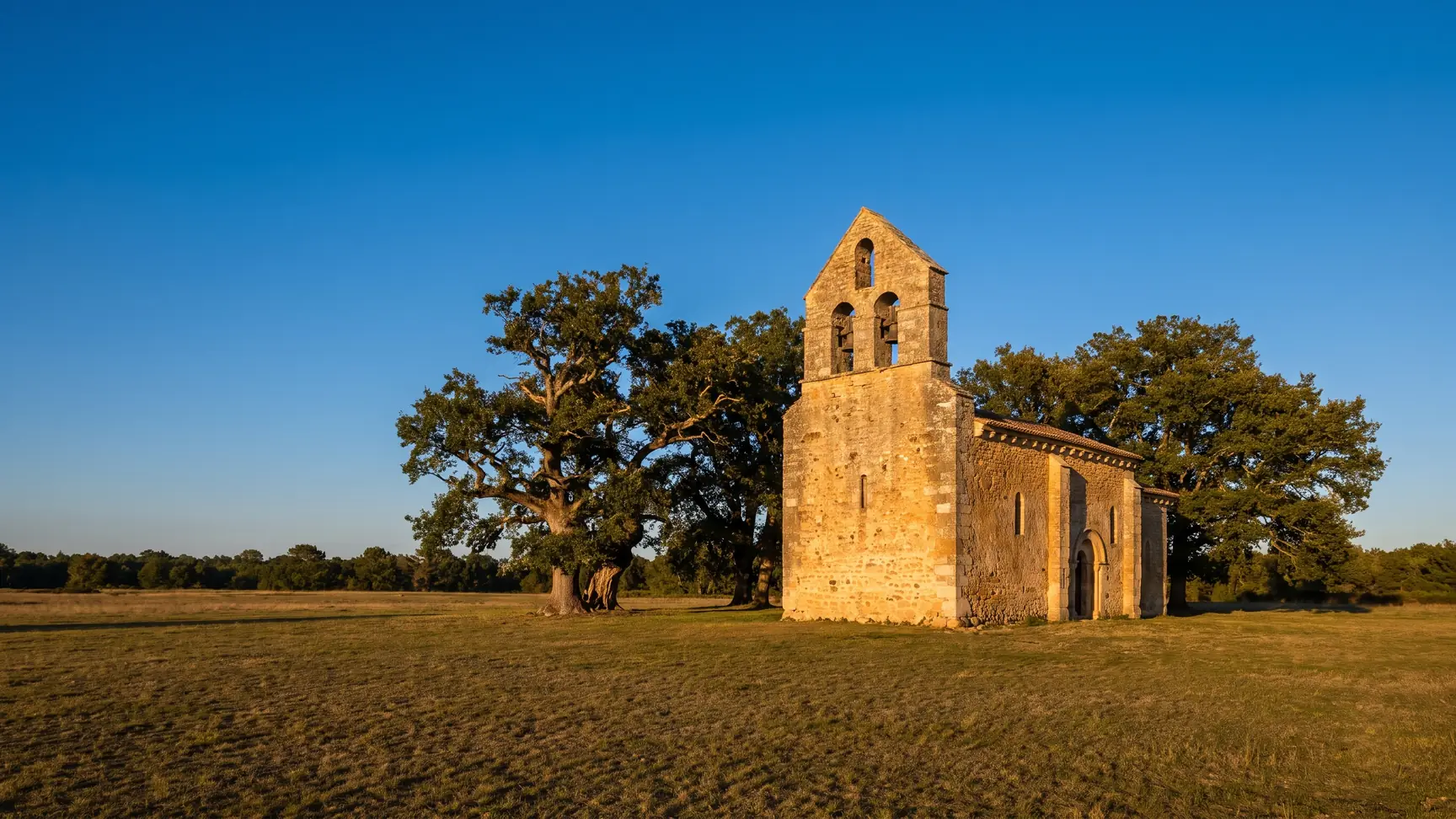 Une petite église romane de pierre chaude au clocher-mur percé de baies, seule dans une prairie sous les chênes