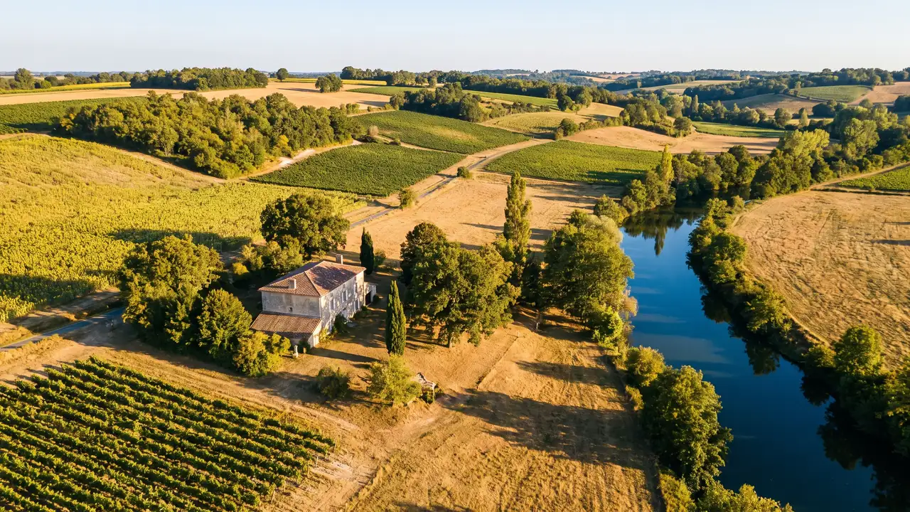 La campagne vallonnée de la Charente autour de Birac, vignes et petits bois sur des coteaux calcaires sous un ciel bleu