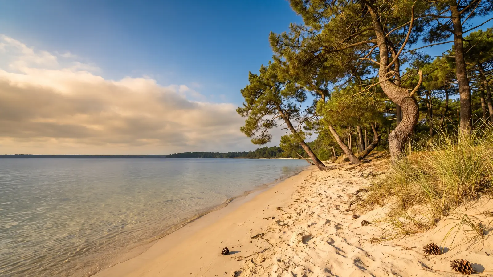 VTC Bordeaux vers Biscarrosse — pays de Born, Landes