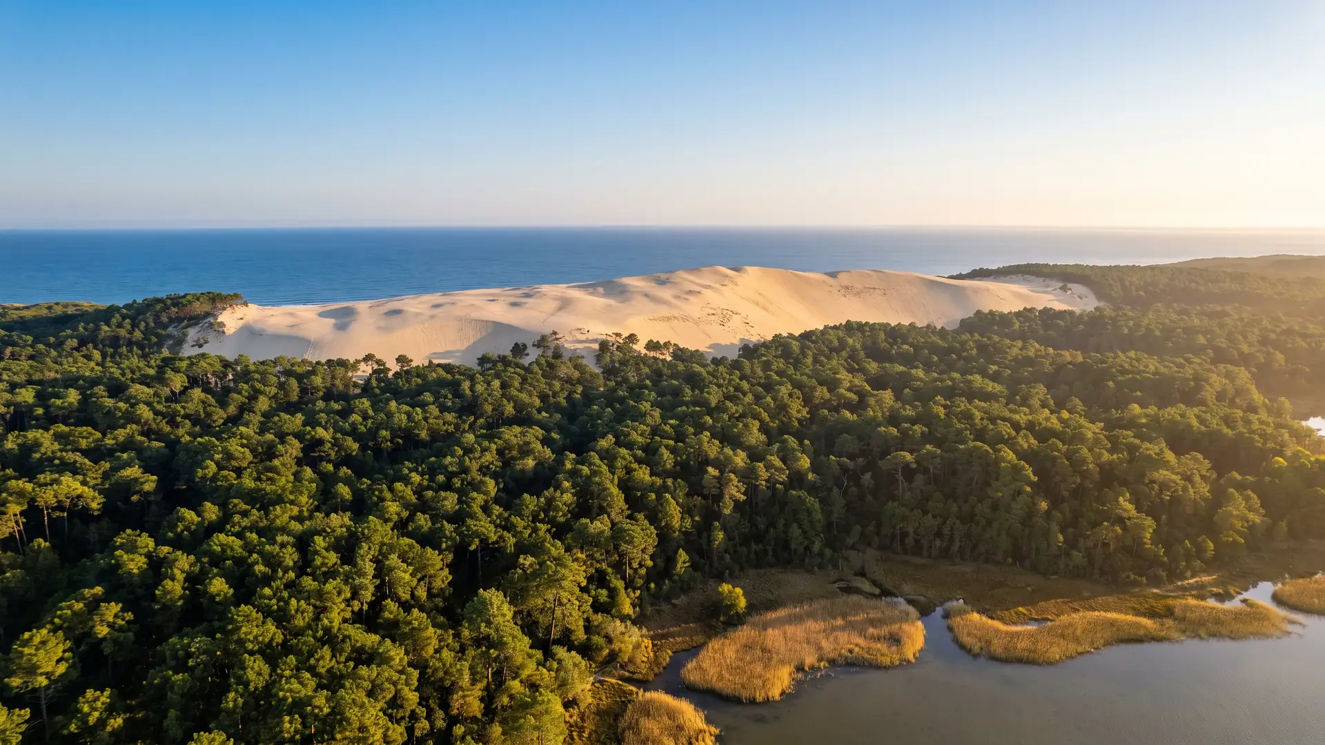 La Dune du Pilat au-dessus de la forêt de pins du Bassin d'Arcachon, à distance d'excursion du Camping Club Navarrosse Plage