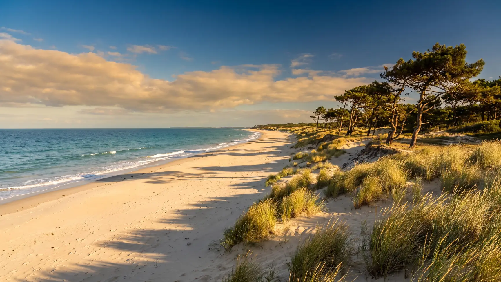 Une longue plage de sable de l'Atlantique adossée aux dunes et aux pins, côte charentaise, près du camping Séquoia Parc