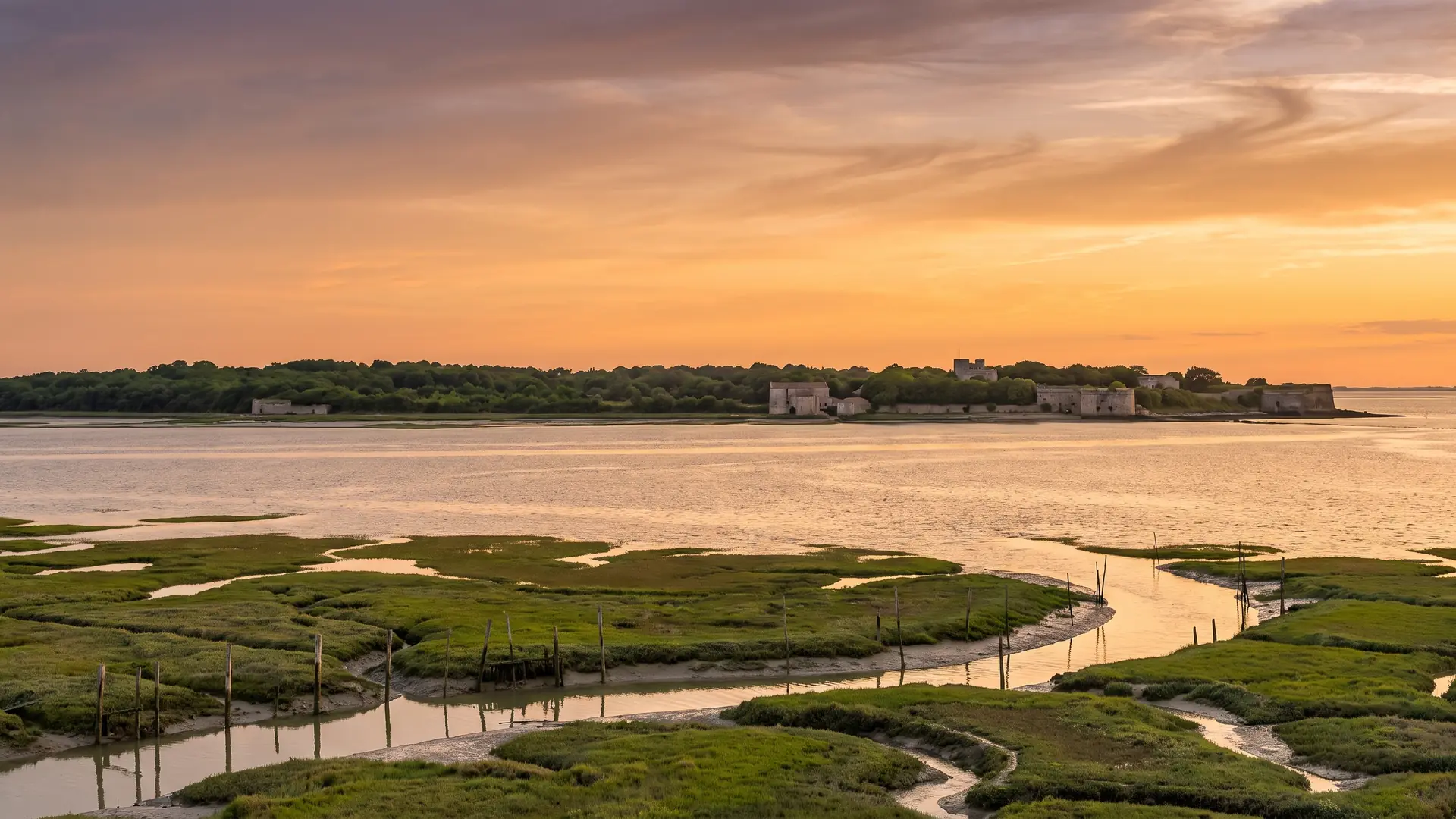 La baie de Marennes-Oléron, marais et chenaux ostréicoles, l'île d'Oléron à l'horizon, près du camping Séquoia Parc