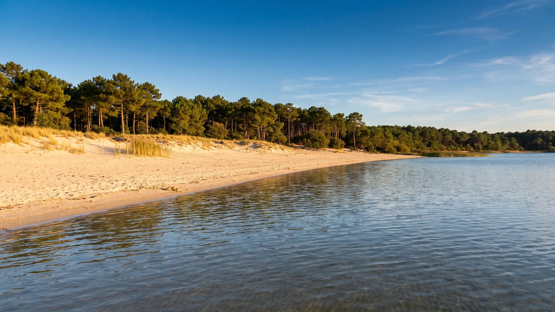 Une plage de sable au bord du lac de Cazaux-Sanguinet, près du camping Domaine de la Rive