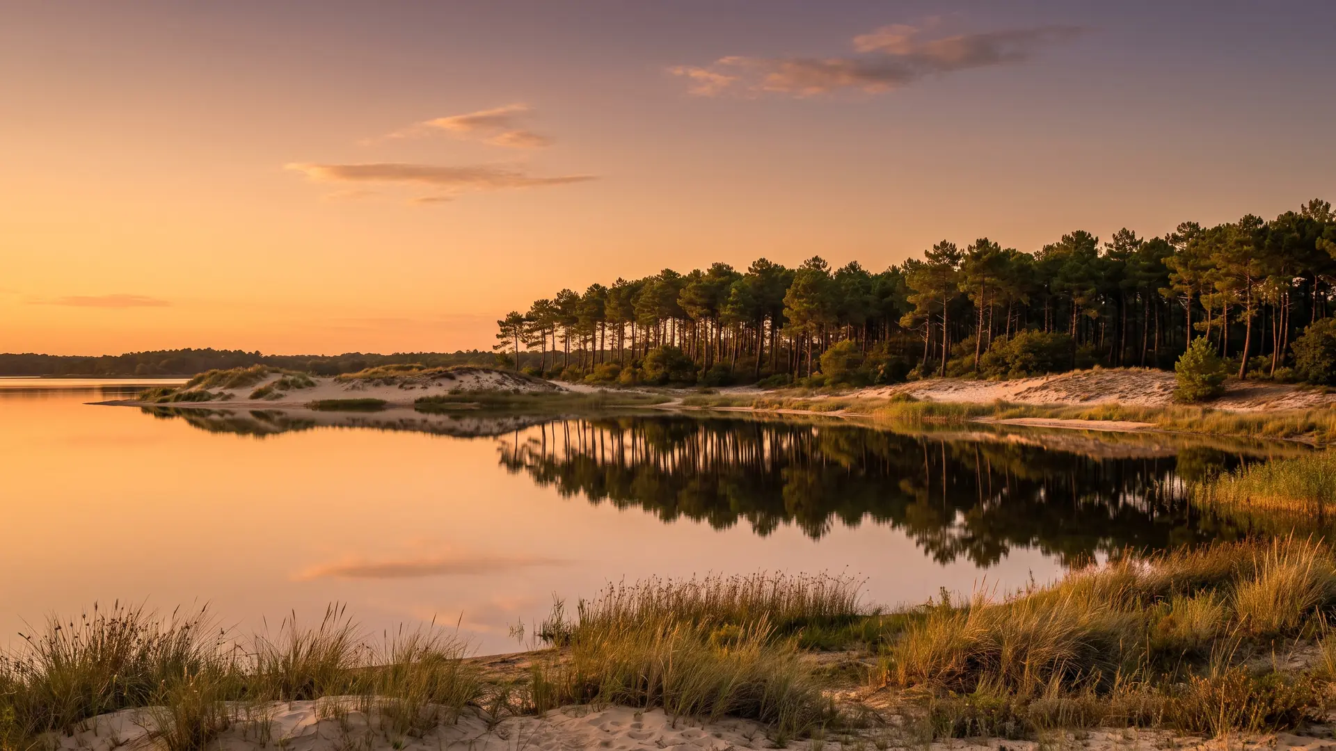 Le lac de Cazaux-Sanguinet reflétant la forêt de pins, près du camping Domaine de la Rive