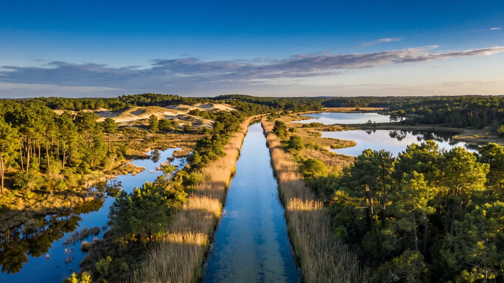 Un canal bordé de roseaux entre les lacs des Landes près de Biscarrosse, près du camping Domaine de la Rive