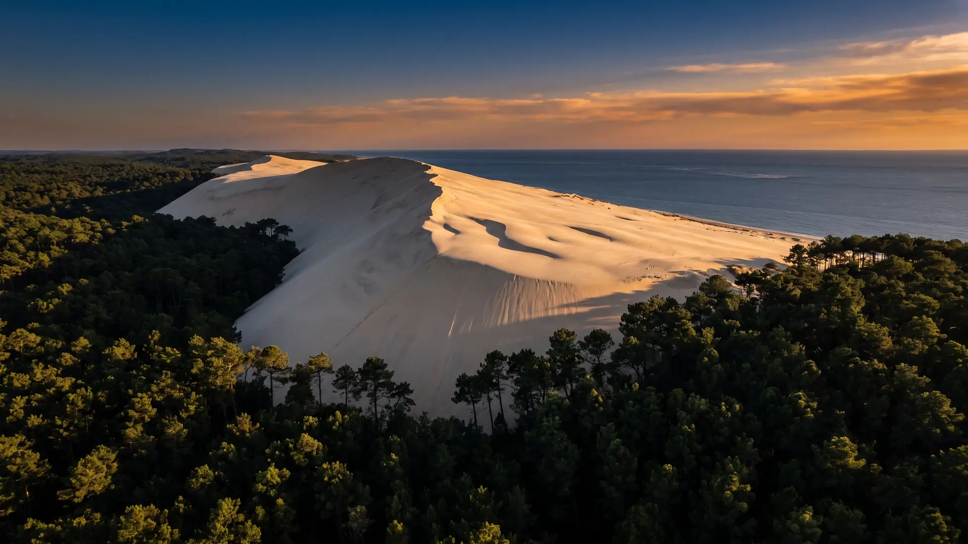 La Dune du Pilat au-dessus de la forêt de pins et du Bassin d'Arcachon, à distance d'excursion du camping Domaine de la Rive