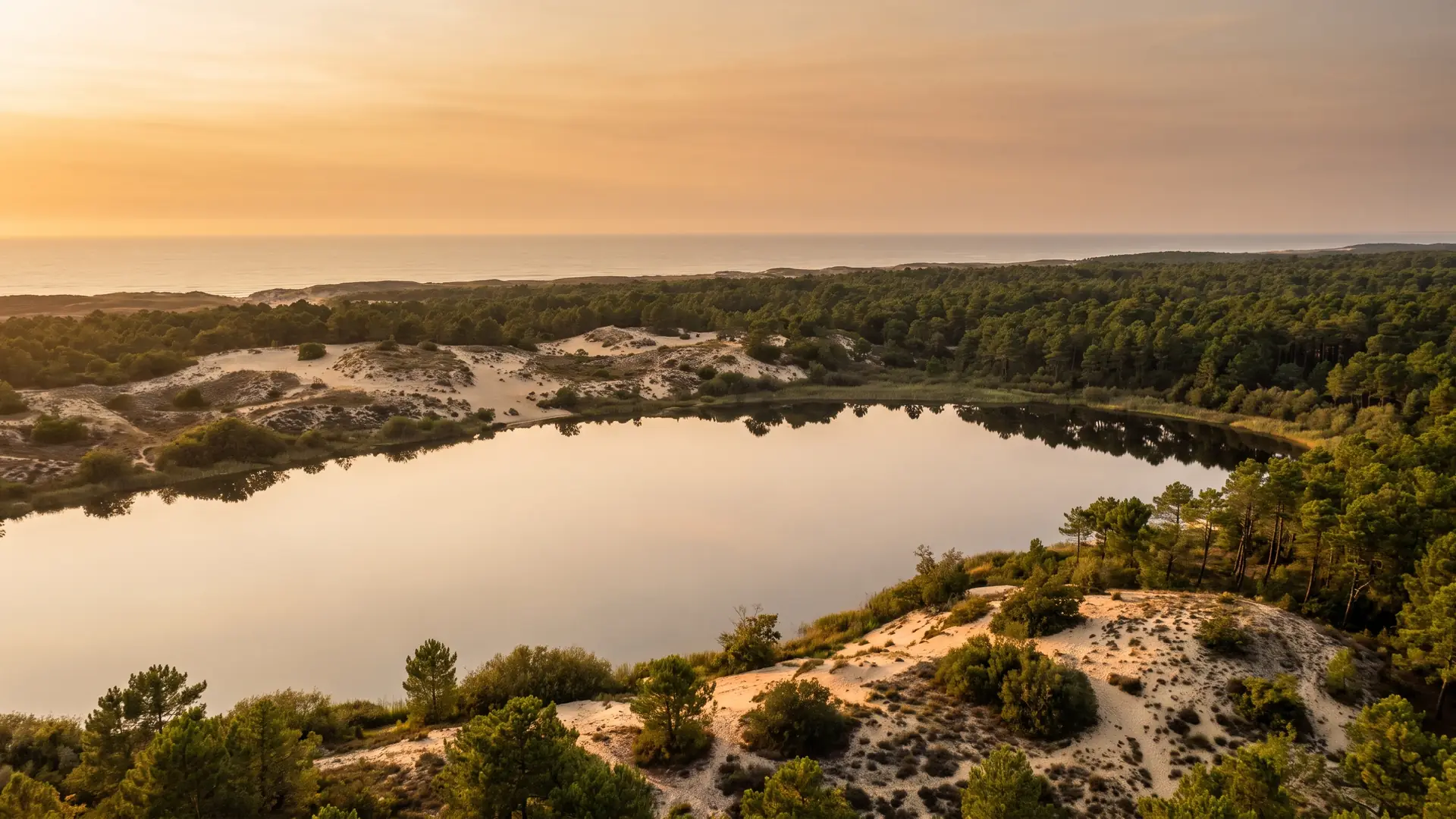 Les Landes près de Biscarrosse, grand lac et forêt de pins vers l'océan, près du camping Domaine de la Rive