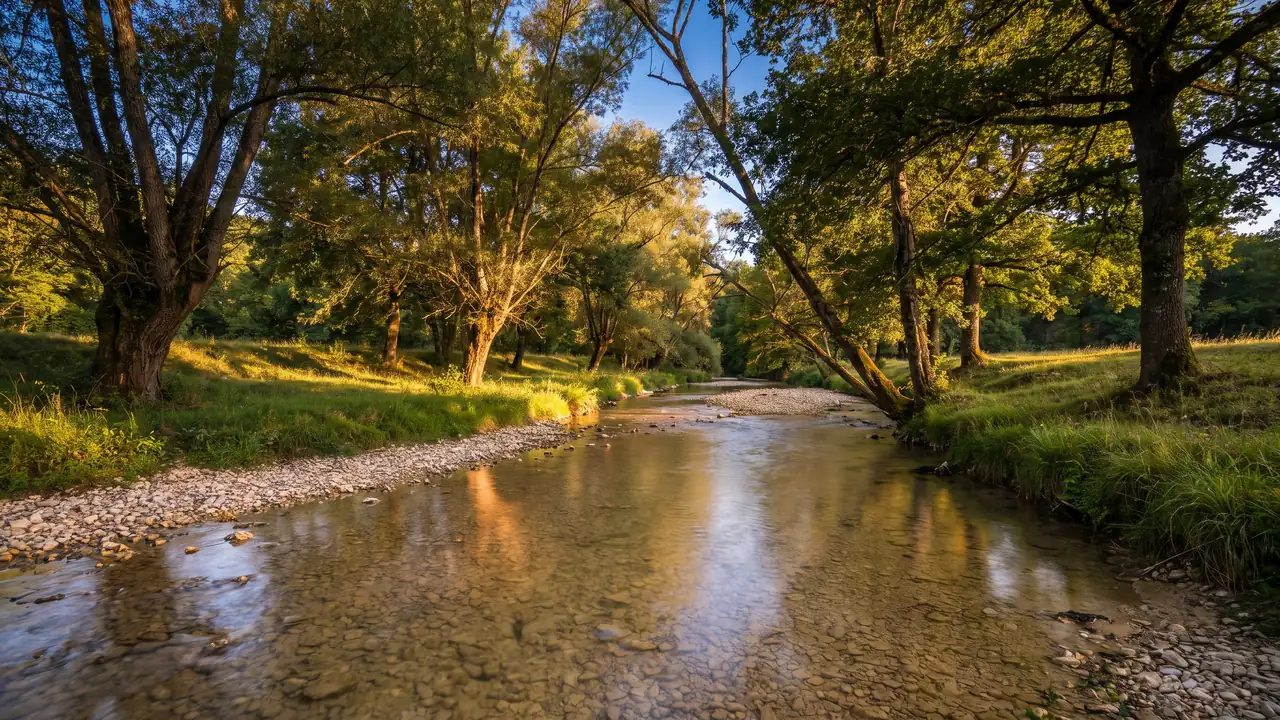 Rivière du Céou bordée d'arbres près du Moulin de Paulhiac