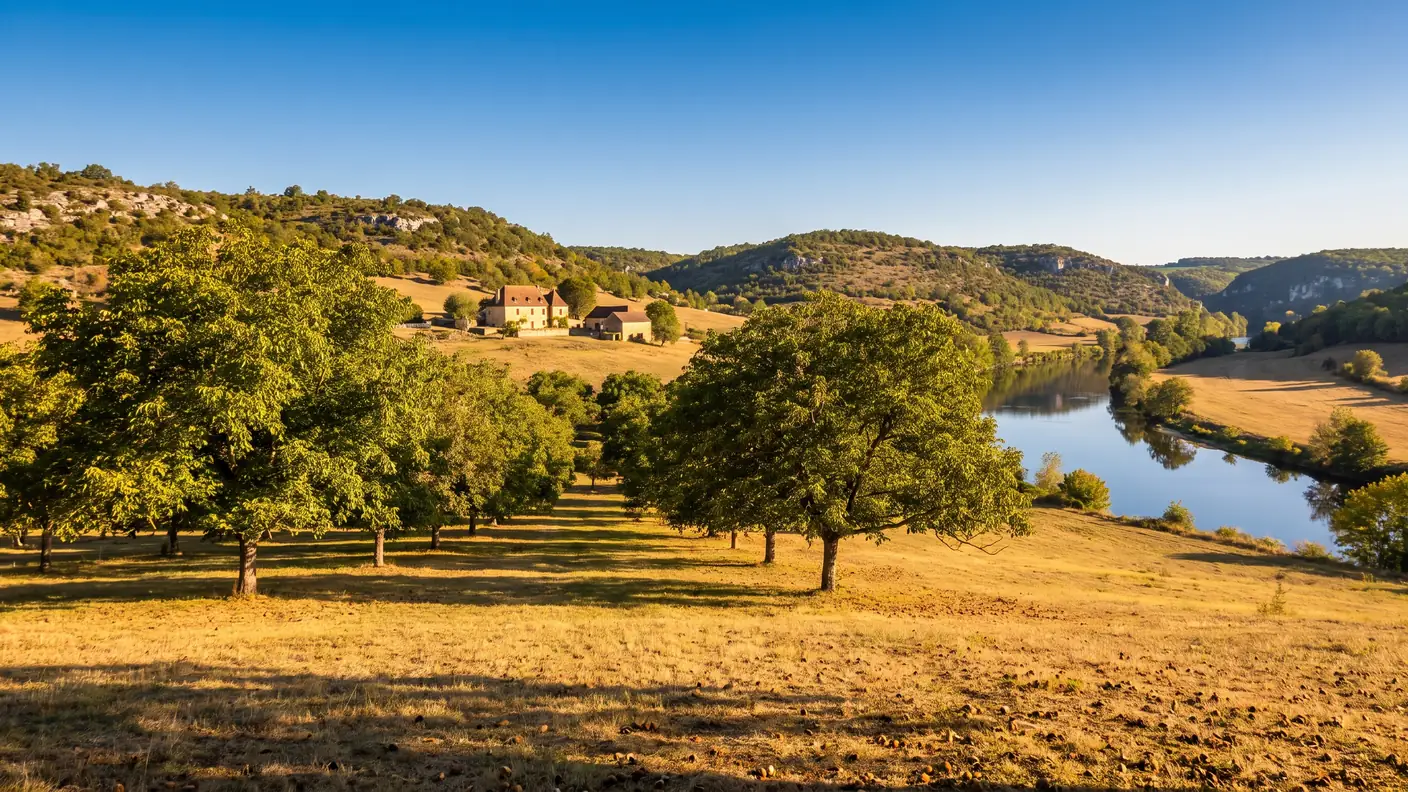 Noyeraie du Périgord près de la vallée de la Vézère