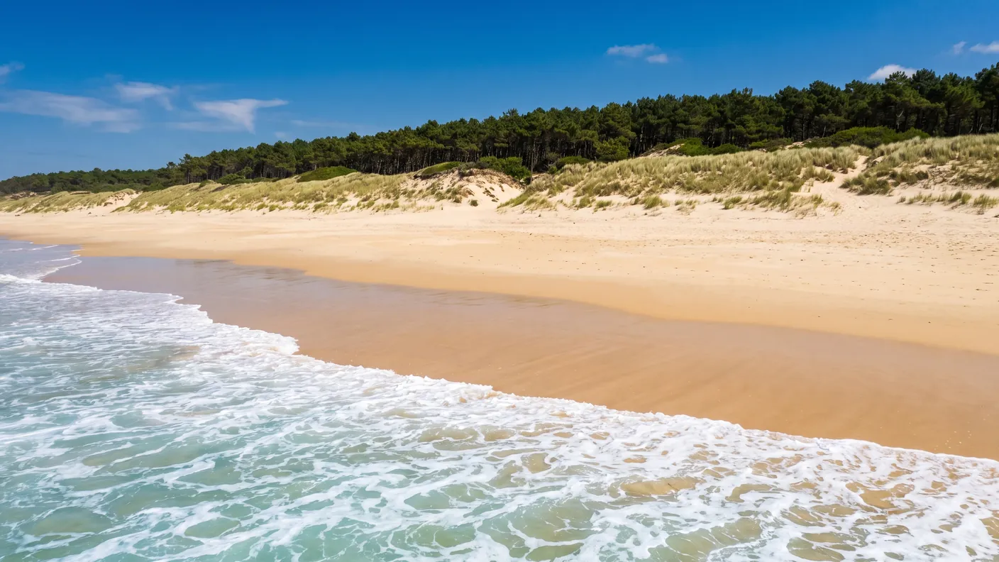 Les Grands Pins : le 5★ surf à Lacanau