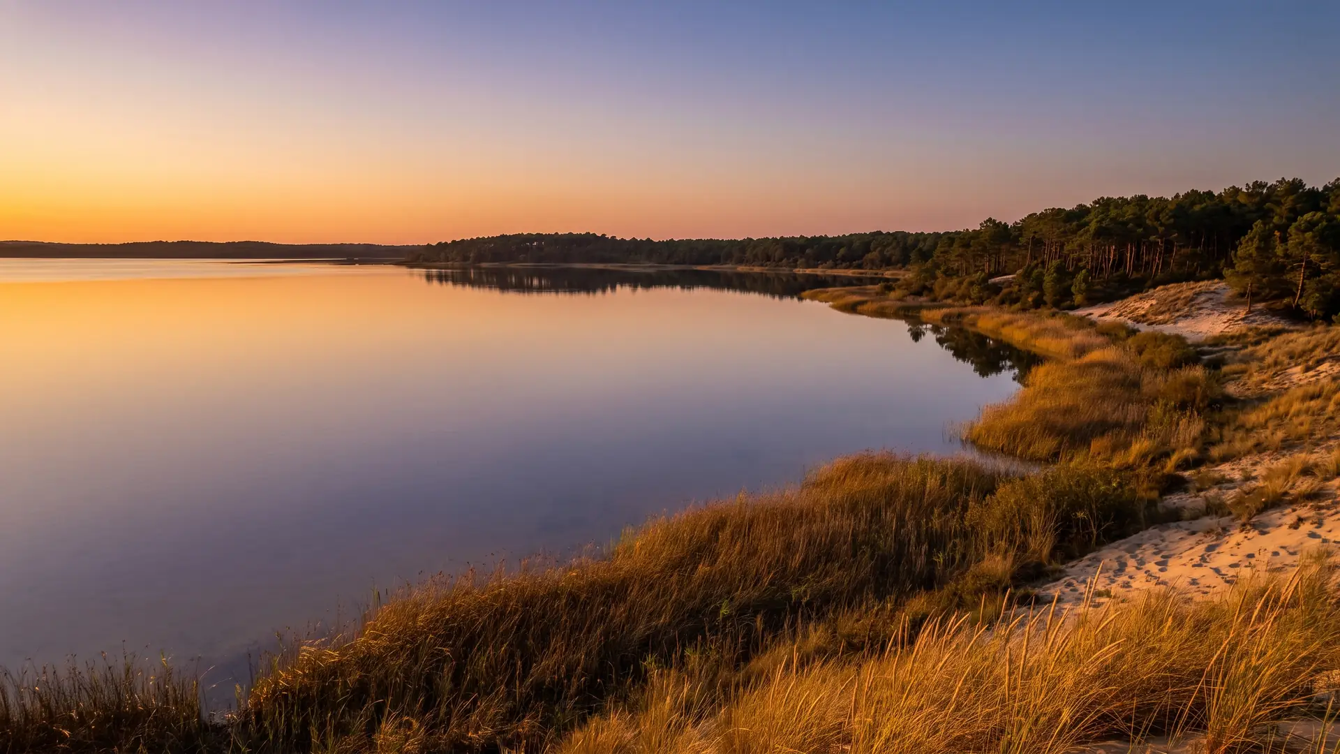 Le lac d'eau douce de Lacanau bordé de forêt de pins, près du camping Les Grands Pins