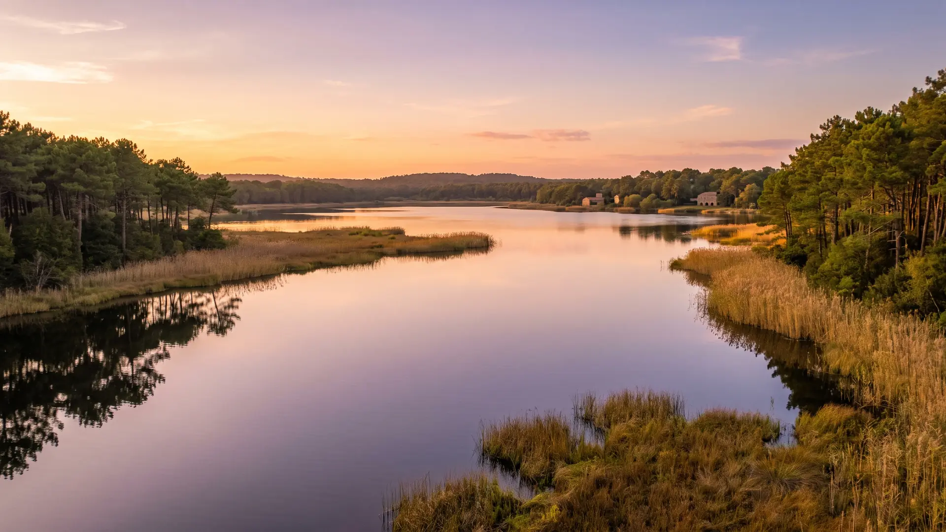 Le lac de Léon, vaste plan d'eau calme bordé de pins et de roseaux, près du camping Les Vignes
