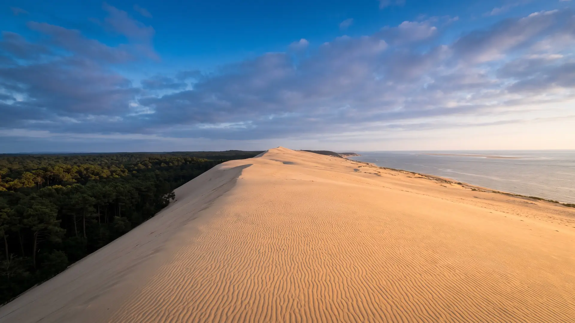 Le panorama depuis le sommet de la Dune du Pilat, entre forêt de pins et océan, près du camping Panorama du Pyla