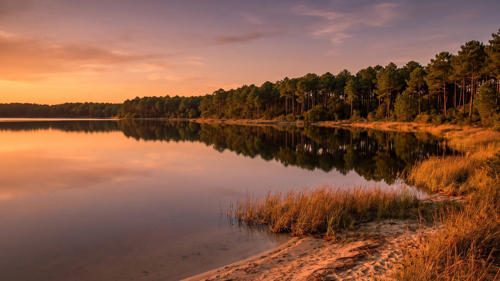 Le lac de Lacanau reflétant la forêt de pins, eau douce immobile aux reflets dorés, près du Camping & Spa Airotel L'Océan