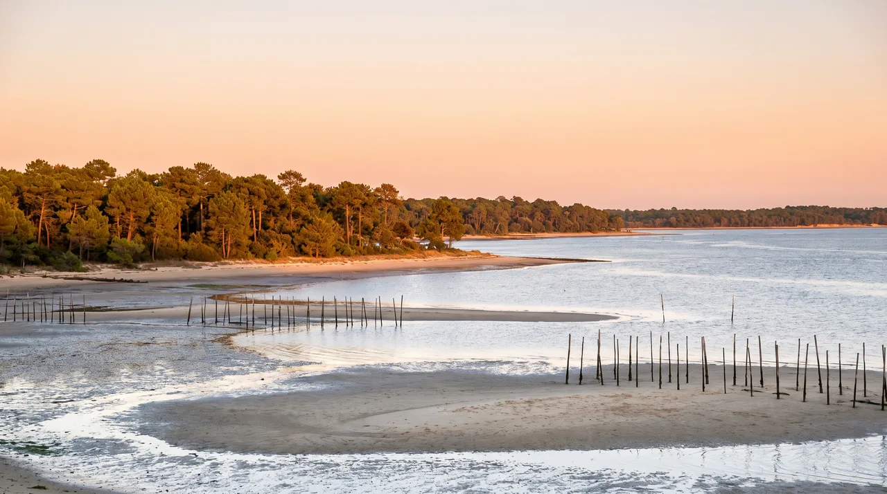 Bassin d'Arcachon calme à la pointe du Cap-Ferret au soleil couchant, eau argentée, pieux ostréicoles et bancs de sable