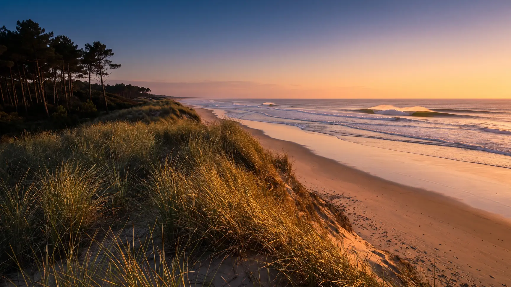 De belles vagues creuses déferlant sur une plage sauvage des Landes, dune couverte d'oyats au premier plan