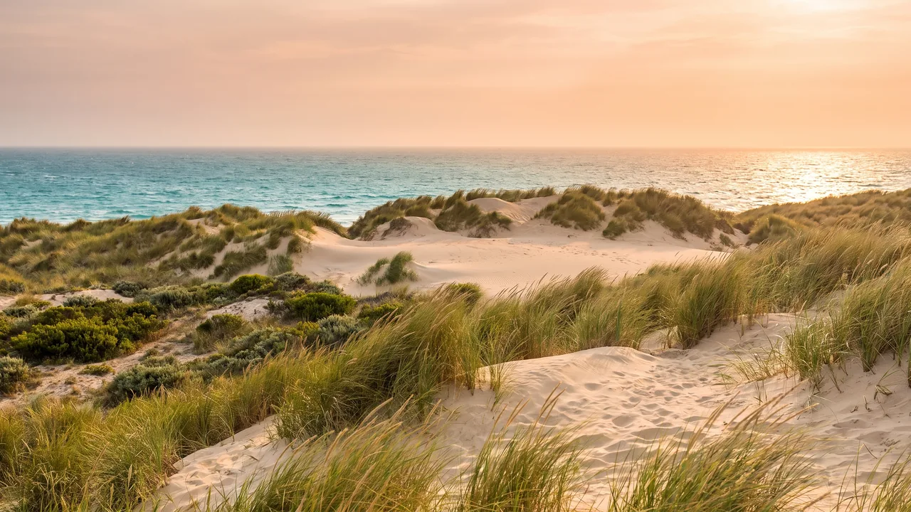 Cordon de dunes de sable pâle couronné d'oyats à Carcans sous un ciel chaud, l'océan miroitant au-delà de la crête