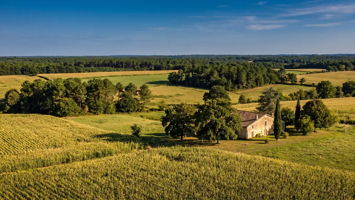 Campagne vallonnée du pays d'Albret près de Casteljaloux