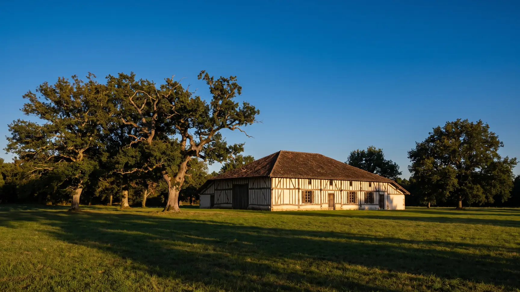 Une maison landaise traditionnelle à colombages de chêne sombre et large toit débordant, sous des chênes centenaires