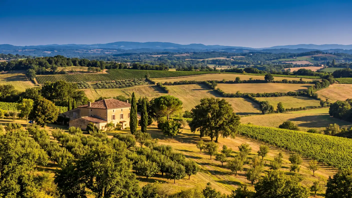 Campagne vallonnée du Haut-Agenais autour de Castillonnès, rangs de vignes et vergers de pruniers sur des coteaux