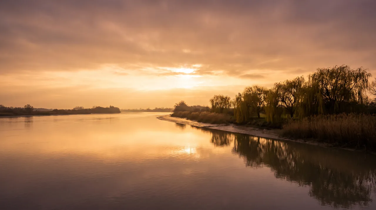 La Garonne calme au soleil couchant le long d'une berge de saules et de roseaux près de Cérons, eau miroitante