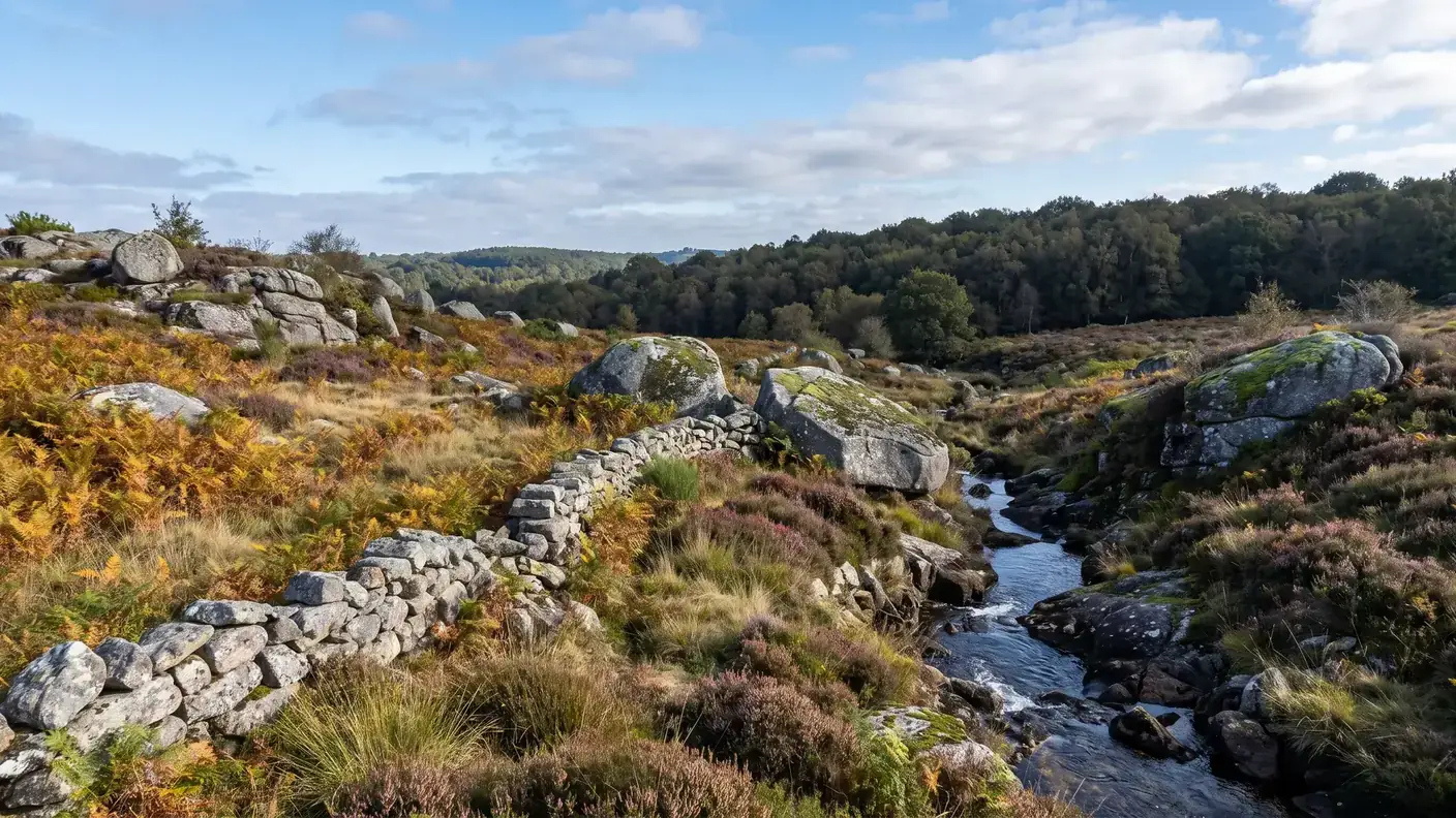 Le paysage de granite du Périgord vert nontronnais autour de Champniers-et-Reilhac, aux confins du Limousin (Dordogne) — destination du transfert privé Bordeaux → Champniers-et-Reilhac