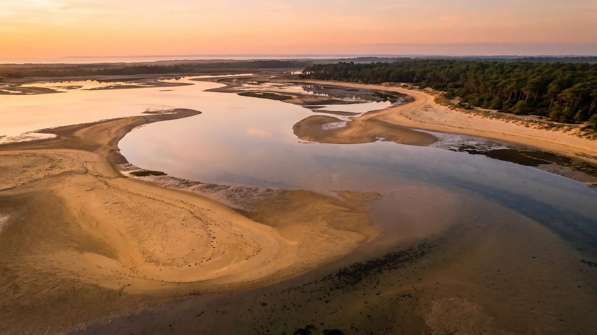 La baie abritée de Bonne Anse près de La Palmyre à marée basse, bancs de sable et pins, près du Club Med La Palmyre