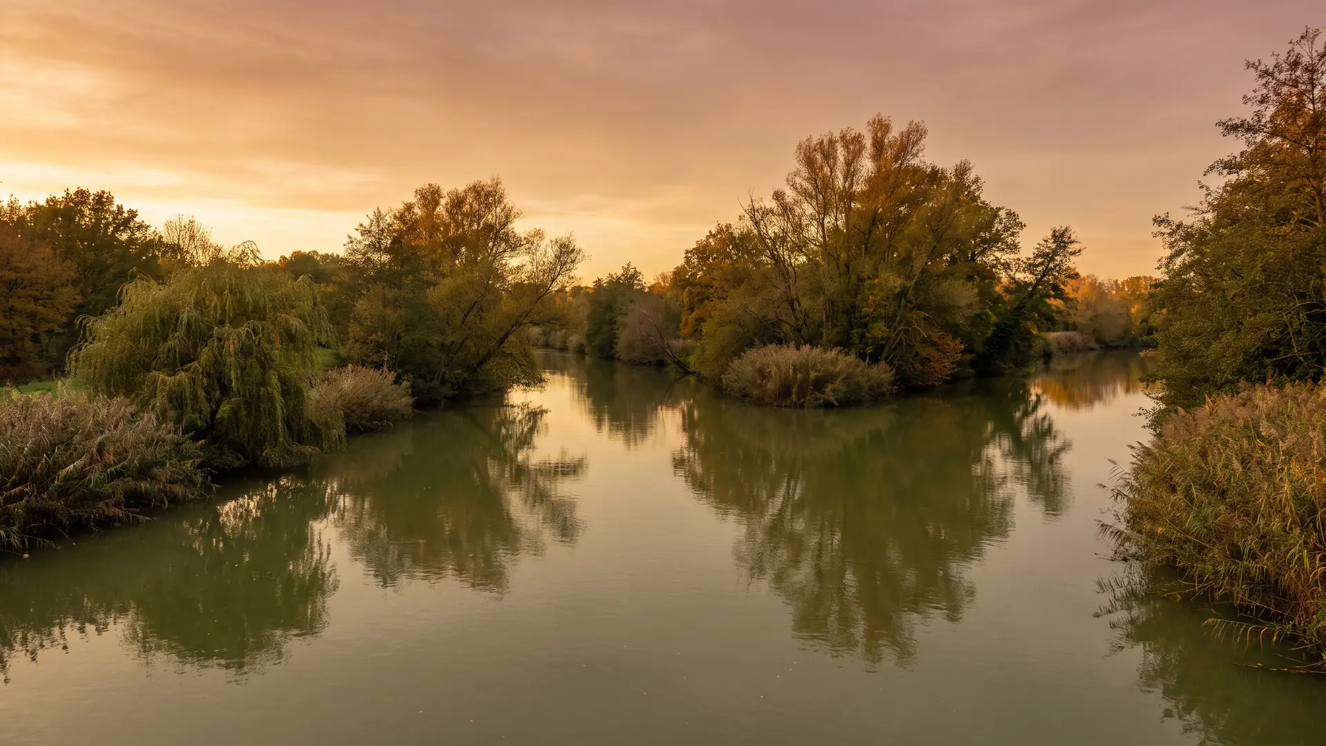 La confluence paisible de deux rivières se rejoignant dans le Libournais près de Coutras en Gironde à la lumière dorée, deux cours d'eau calmes vert-brun se joignant entre des berges boisées et bordées de roseaux, reflets immobiles du ciel chaud, saules et aulnes penchés sur l'eau, douce lumière dorée, un paysage de rivière paisible et lumineux, aucune personne