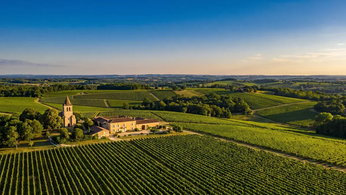 Rangs de vigne dans l'appellation Côtes de Duras
