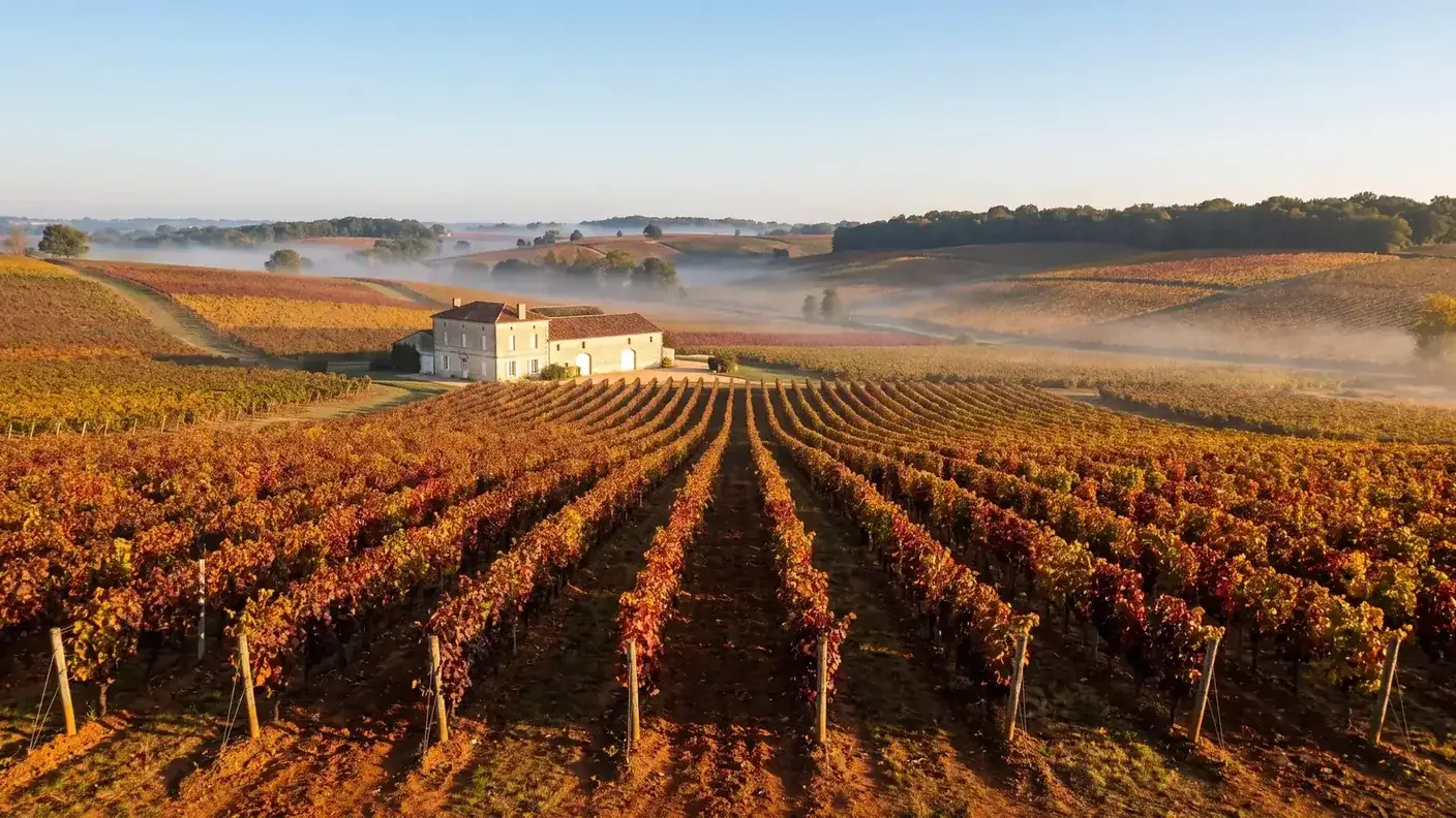 Vignoble du Bergeracois en automne près d'Eymet