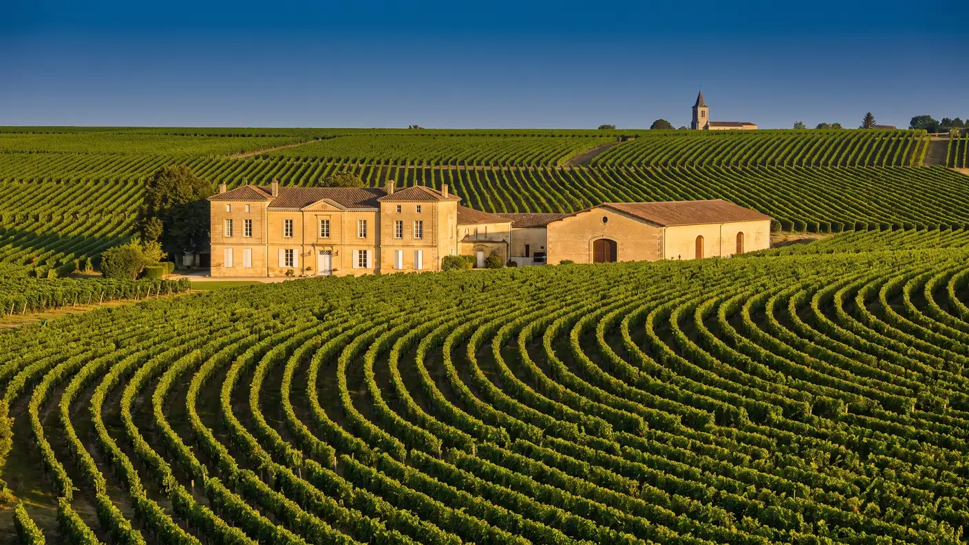 Vignes de Castillon Côtes de Bordeaux à Gardegan