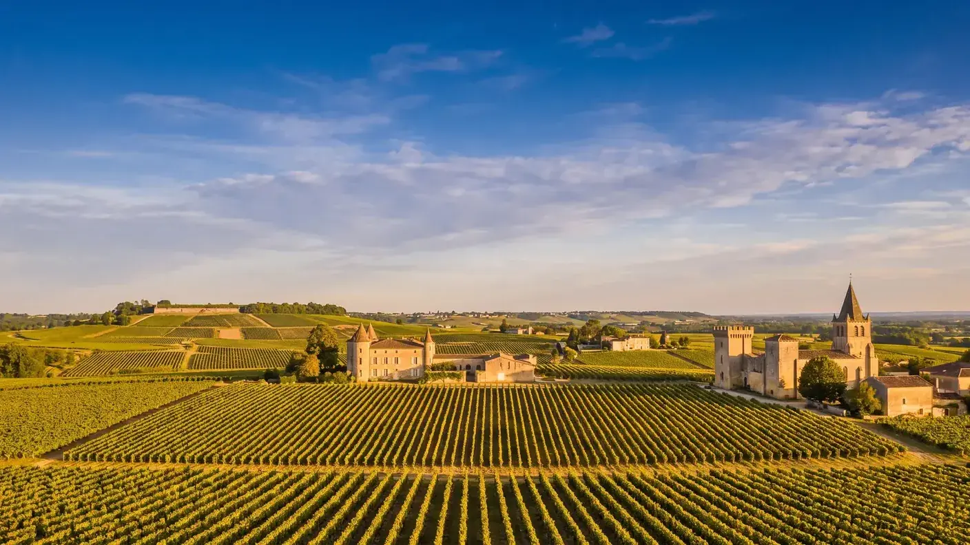 Vignoble entre Gardegan et Saint-Émilion
