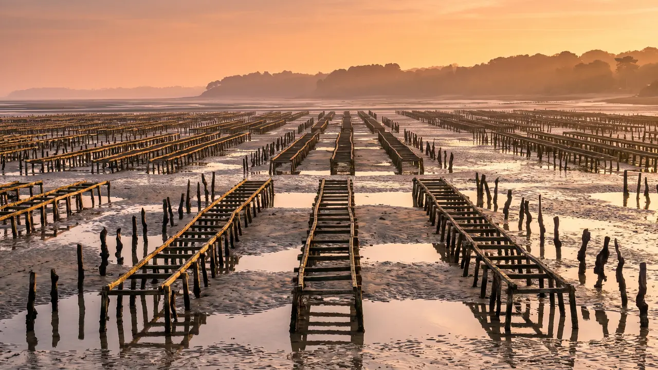 Estran de Gujan-Mestras à marée basse, rangées de tables et de pieux ostréicoles sur le sable humide miroitant, rivage