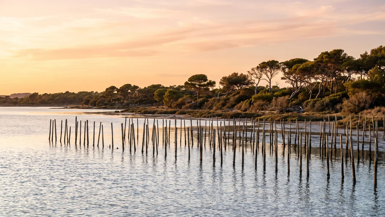 Rive sud du Bassin d'Arcachon à Gujan-Mestras au soleil couchant, eau calme argentée, pieux ostréicoles et rivage boisé