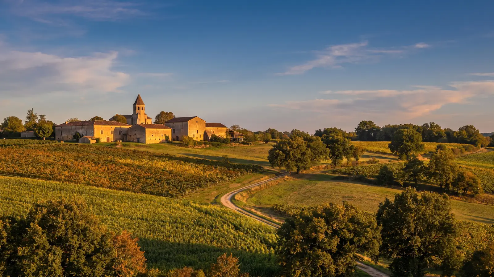 La campagne vallonnée du Bas-Armagnac, vignes, champs et bois de chênes autour d'une ferme, dans les Landes