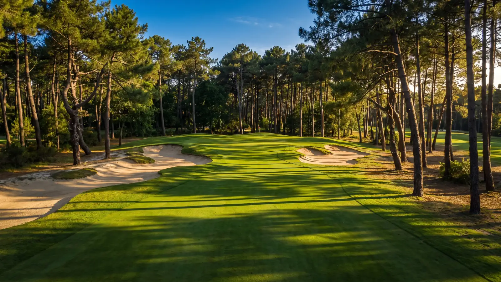 Un parcours de golf serpentant entre de grands pins maritimes des Landes, fairways verts et bunkers de sable