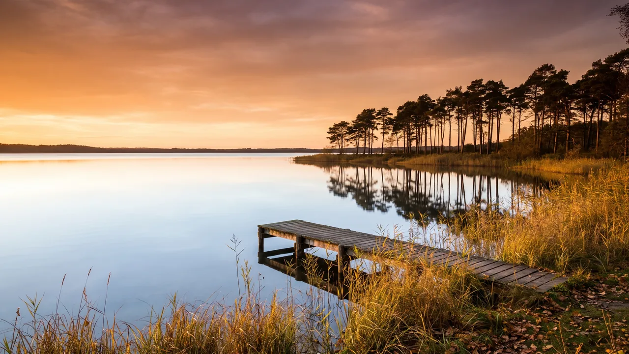 Vaste lac d'eau douce d'Hourtin au soleil couchant, eau calme argentée bordée de roseaux et de pins, ponton de bois