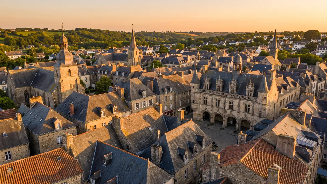 Toits de tuiles et d'ardoise de La Rochelle vus d'en haut, avec la façade gothique ouvragée de l'hôtel de ville