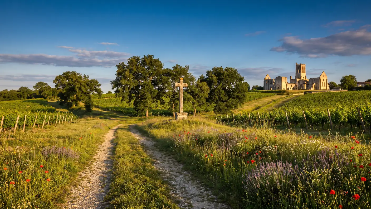 Un chemin de Compostelle traversant les vignes de l'Entre-deux-Mers vers les ruines d'une abbaye au loin