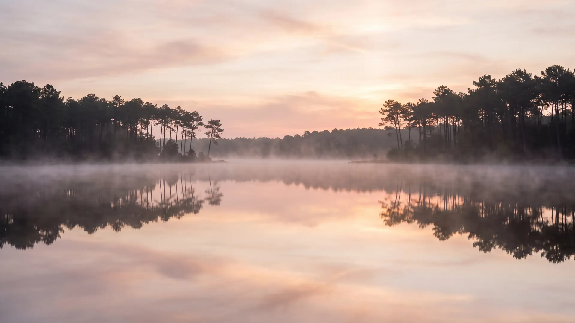 Une aube brumeuse sur un lac forestier des Landes de Gascogne, silhouettes de pins reflétées, lumière rose et dorée