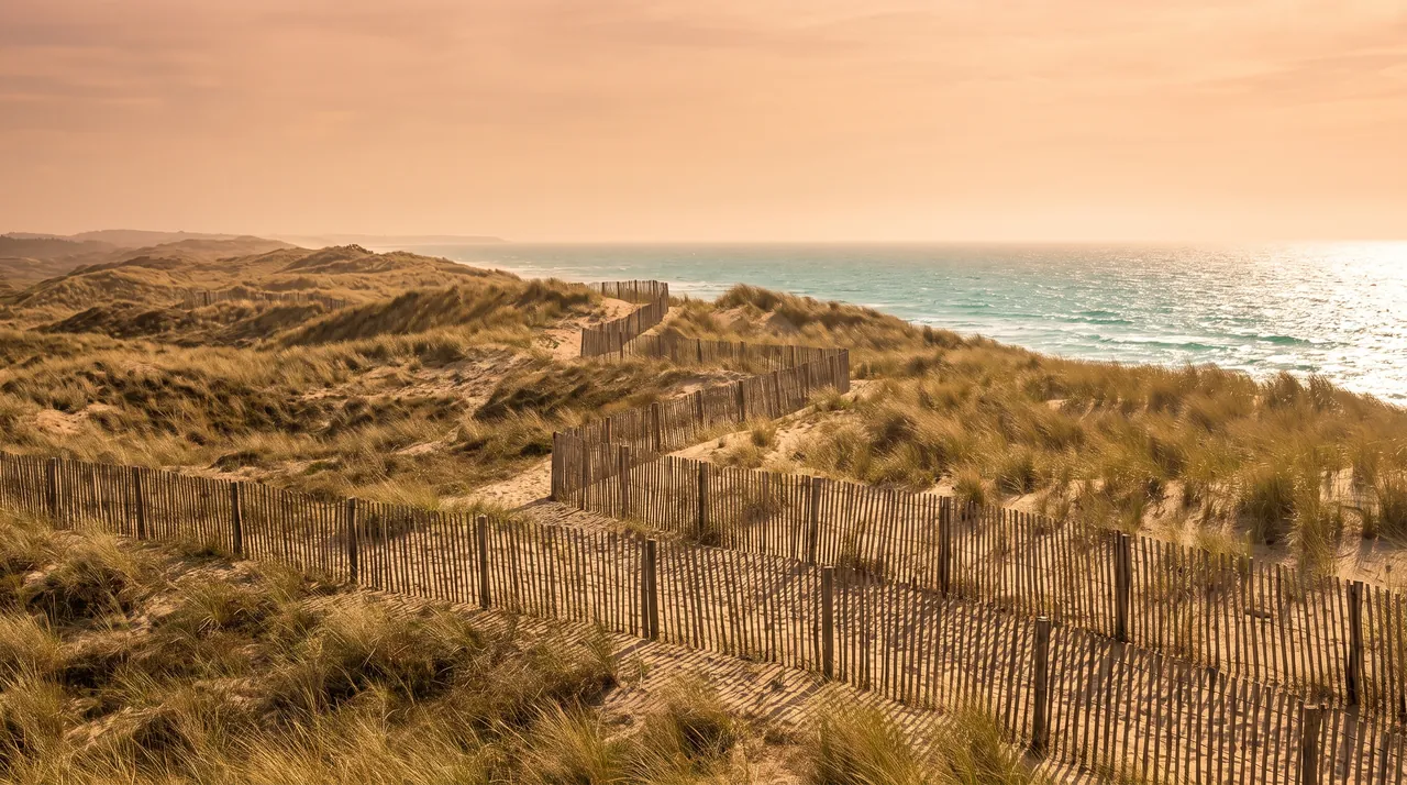 Barrières de bois (ganivelles) en zigzag sur une dune d'oyats à Lacanau-Océan pour fixer le sable, lumière chaude, océan