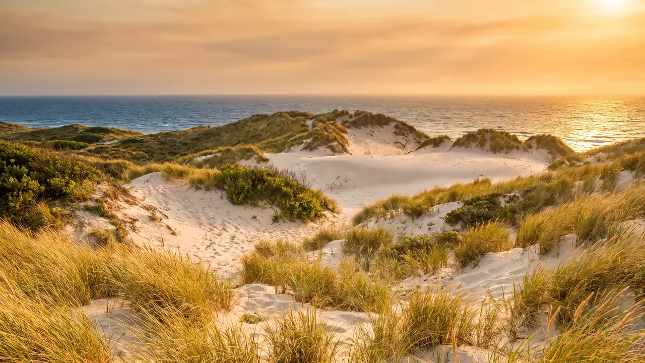 Cordon de dunes de sable pâle couronné d'oyats à Lacanau sous un ciel chaud, l'océan miroitant au-delà de la crête
