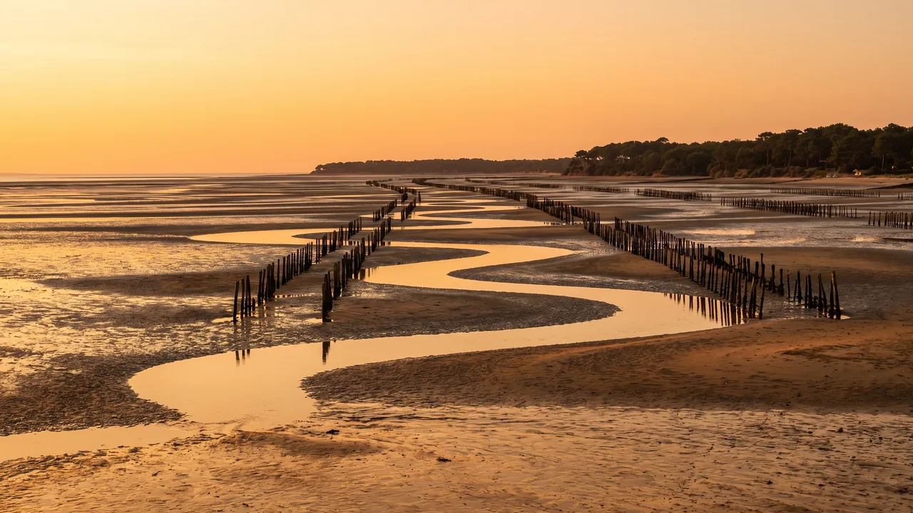 Le Bassin d'Arcachon à marée basse près de Lanton, sur la rive est en Gironde — destination du transfert privé Bordeaux → Lanton