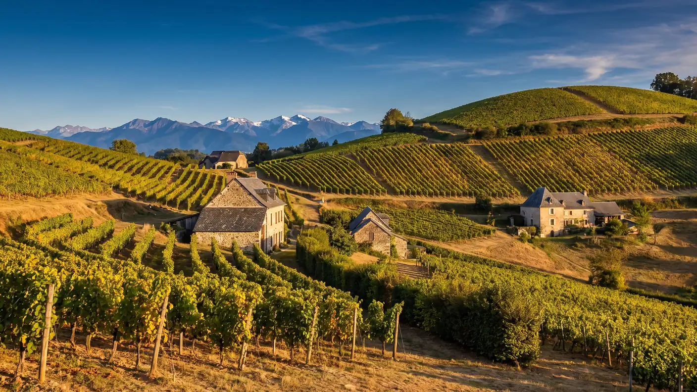 Vignes du Jurançon sur les coteaux de Lasseube