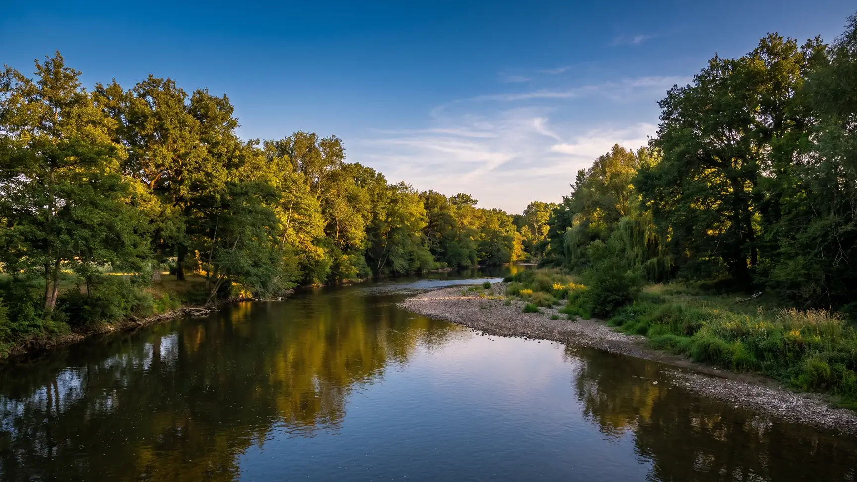 Une rivière calme bordée d'aulnes et de saules dans une campagne boisée, reflets dorés sur l'eau à la lumière du soir