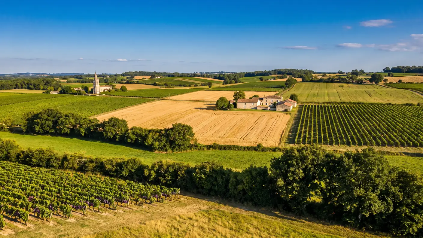 Un damier de vignes, de champs et de fermes de pierre du nord du Libournais en Gironde en fin d'été, avec un clocher au loin